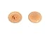 Algopix Similar Product 19 - SCREW COVER CAP FOR POZI SCREW BEECH