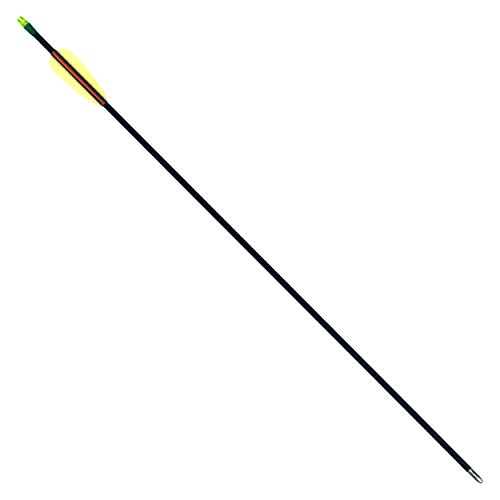 Algopix Similar Product 3 - SA Sports 28 Inch Youth Archery Arrows