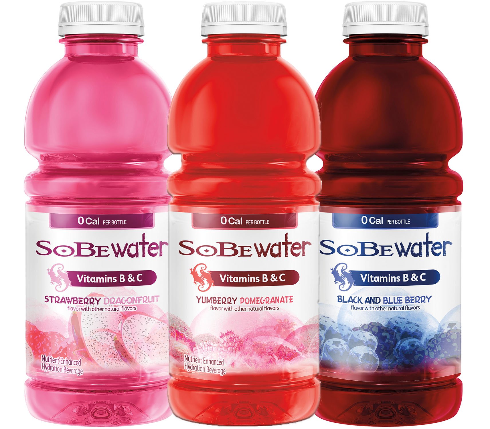 Algopix Similar Product 20 - Sobe Water Variety Pack 3 Flavor