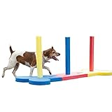 Algopix Similar Product 9 - Agility Slalom - Dog play & exercise toy