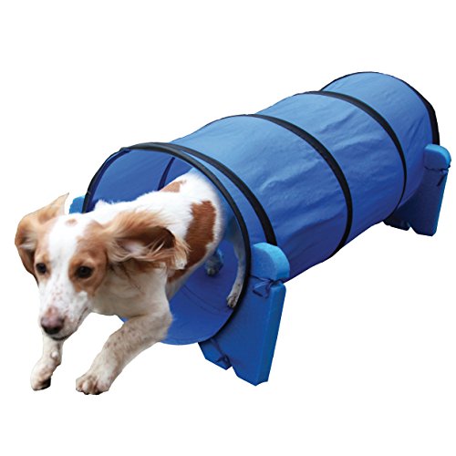 Algopix Similar Product 11 - Agility Tunnel - Dog play & exercise toy
