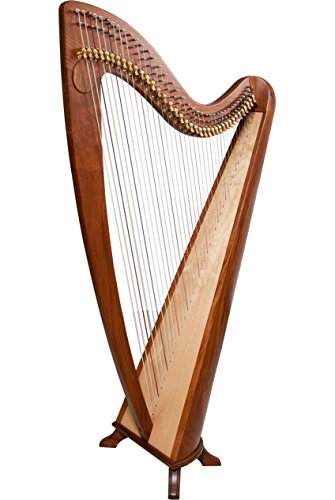Algopix Similar Product 1 - EMS Christel Harpâ„ 38-StringBlemished