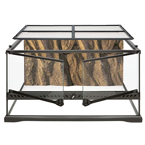 Algopix Similar Product 16 - Exo Terra Glass Natural Terrarium Kit