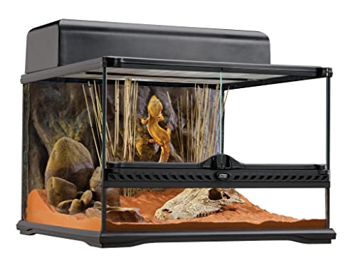 Algopix Similar Product 1 - Exo Terra Short All Glass Terrarium 18