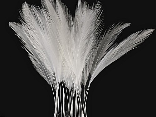 Algopix Similar Product 1 - Rooster Feathers White Stripped