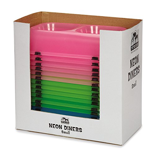 Algopix Similar Product 19 - Pet Studio Neons Diner Displays 