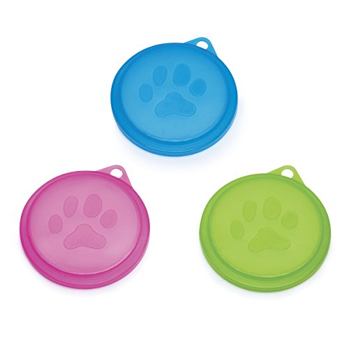 Algopix Similar Product 7 - Pet Studio Neons Lid Displays 