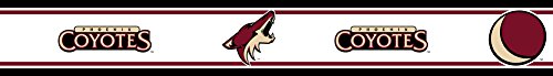 Algopix Similar Product 6 - NHL Phoenix Coyotes Prepasted Hockey