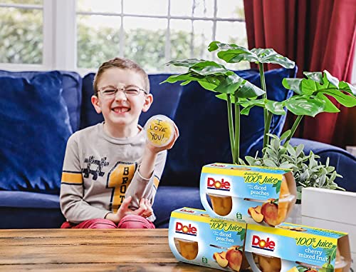 Algopix Similar Product 14 - Dole Fruit Bowls Diced Peaches 16