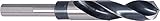 Algopix Similar Product 17 - PROJAHN 495210 drill bit HSSG reduced