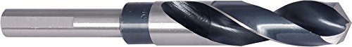 Algopix Similar Product 1 - PROJAHN 495210 drill bit HSSG reduced