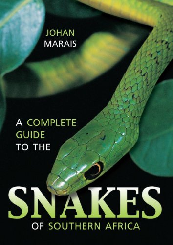 Algopix Similar Product 20 - A Complete Guide to the Snakes of