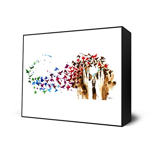 Algopix Similar Product 19 - Birds Birds Birds