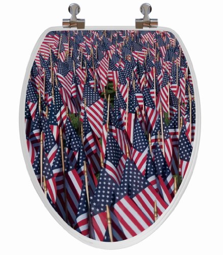 Algopix Similar Product 9 - 3D Series Elongated American Flag
