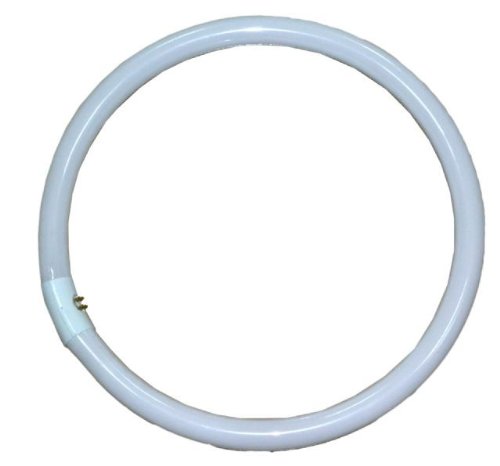 Algopix Similar Product 1 - Falcon Eyes 40 W Ring Lamp for RFL-3