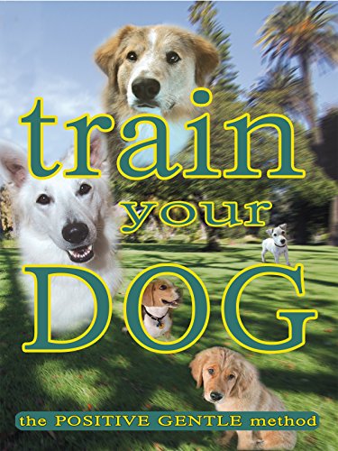 Algopix Similar Product 11 - Train Your Dog  The Positive Gentle