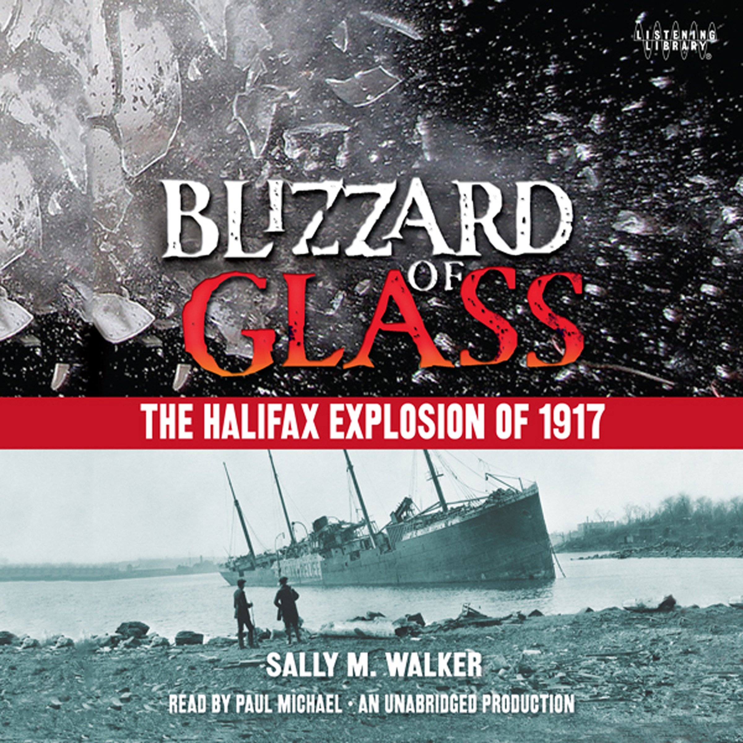 Algopix Similar Product 18 - Blizzard of Glass The Halifax