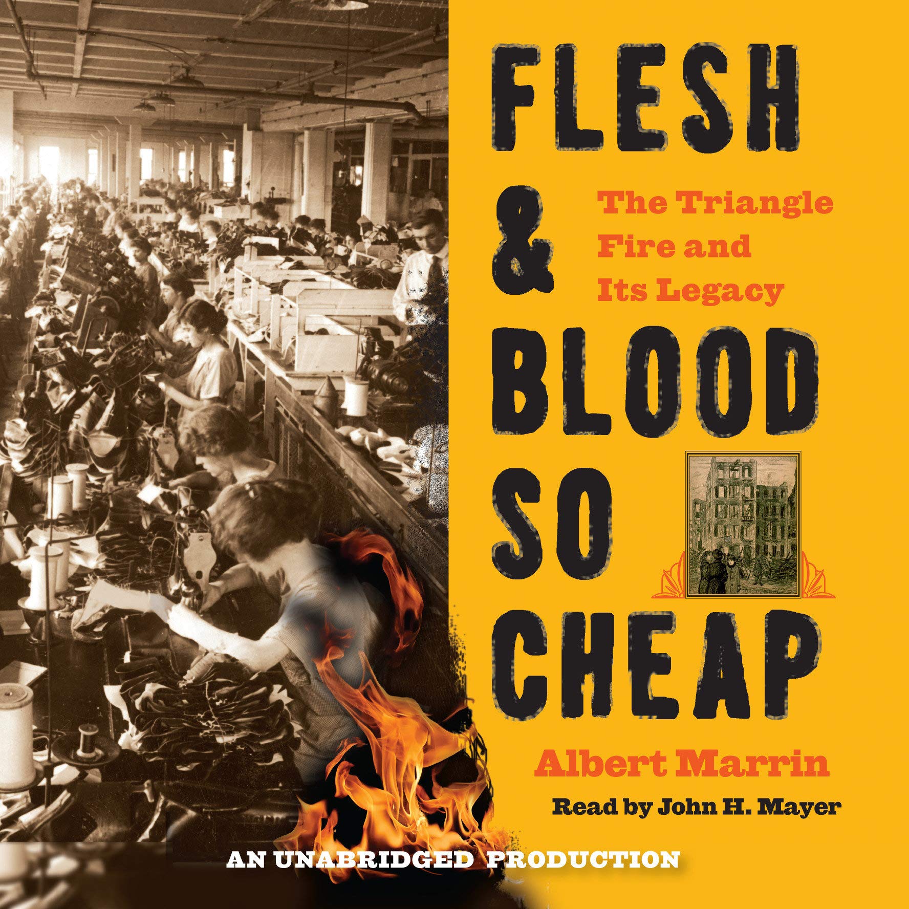 Algopix Similar Product 1 - Flesh and Blood So Cheap The Triangle