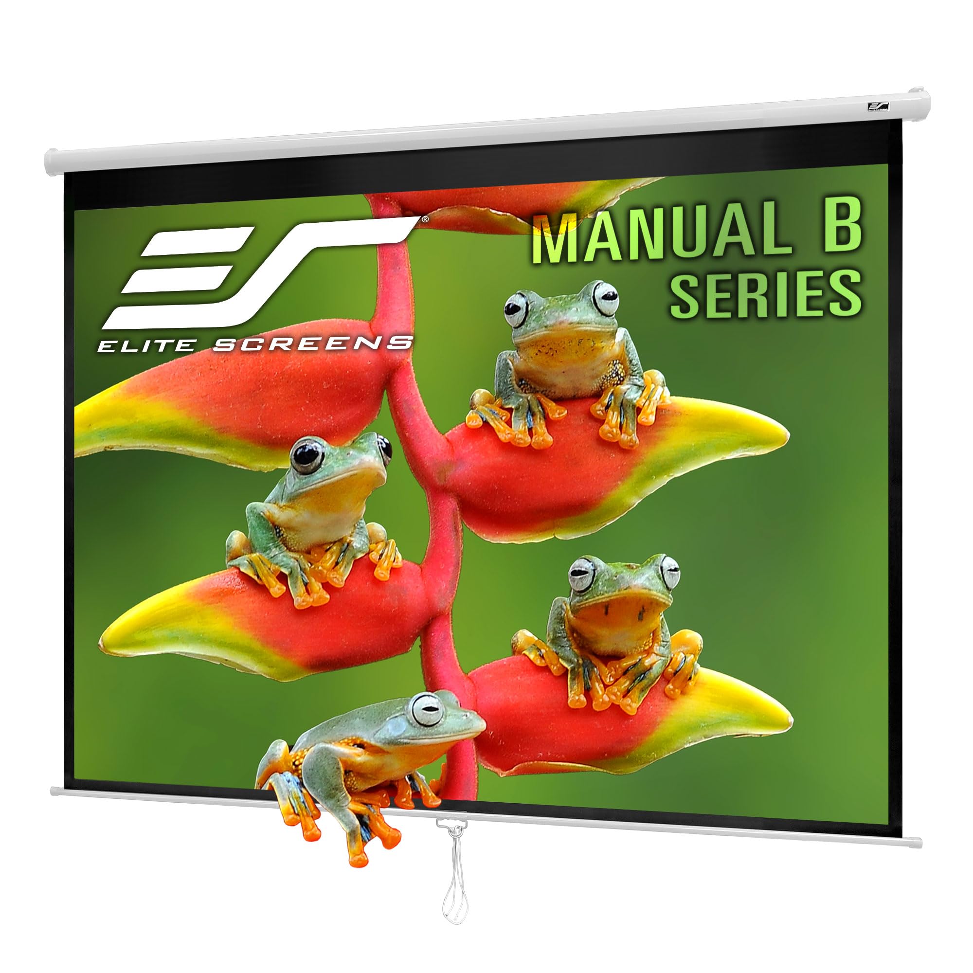 Algopix Similar Product 18 - Elite Screens Manual B Series 100inch