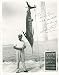 Algopix Similar Product 9 - Henry King  Inscribed Photograph