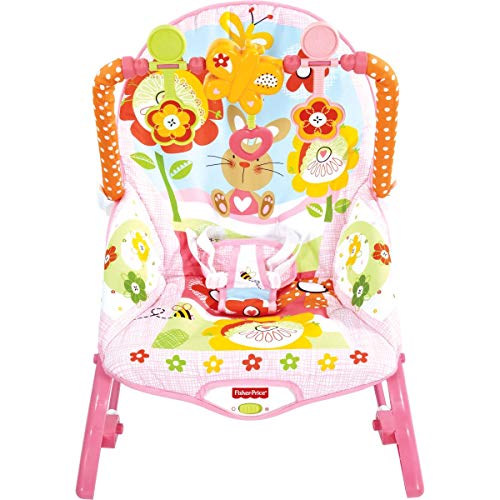 Algopix Similar Product 9 - Fisher-Price Infant-to-Toddler Rocker