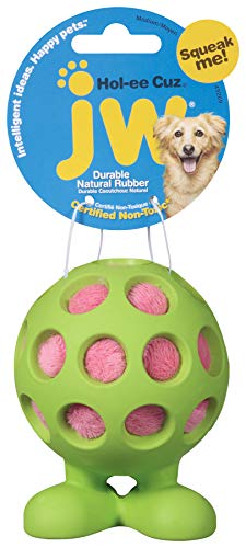 Algopix Similar Product 10 - JW Pet Company HolEe Cuz Medium Dog