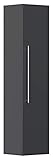 Algopix Similar Product 13 - Emotion Full Length Cabinet M
