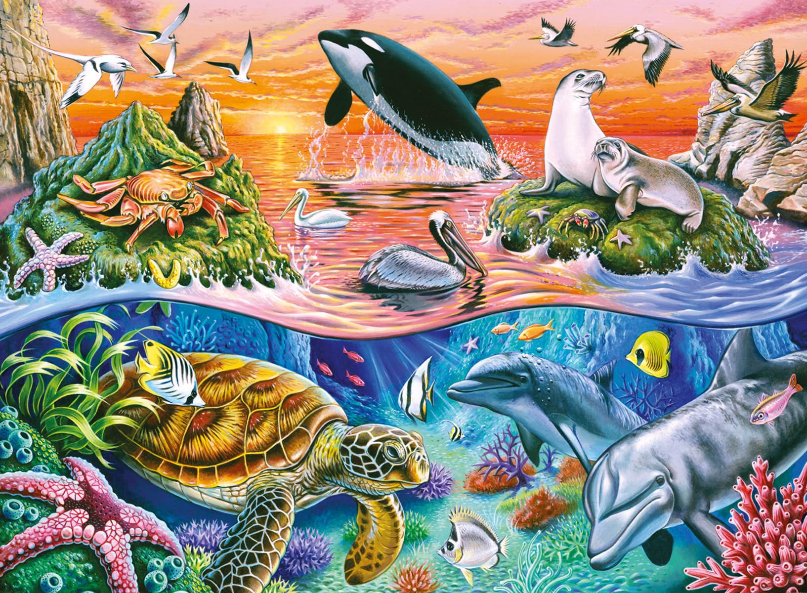 Algopix Similar Product 20 - Ravensburger Beautiful Ocean Jigsaw