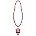 Algopix Similar Product 18 - FOCO NCAA Indiana 2012 Edition Team