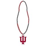 Algopix Similar Product 10 - FOCO NCAA Indiana 2012 Edition Team