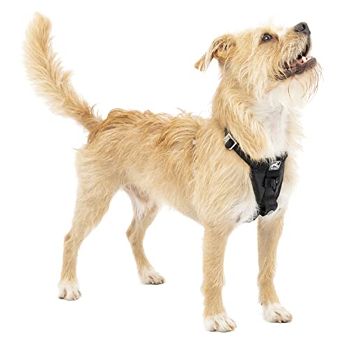 Algopix Similar Product 15 - Kurgo TruFit Enhanced Strength Dog