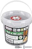 Algopix Similar Product 15 - CONNEX B30146 Post Screw zinc co TX40