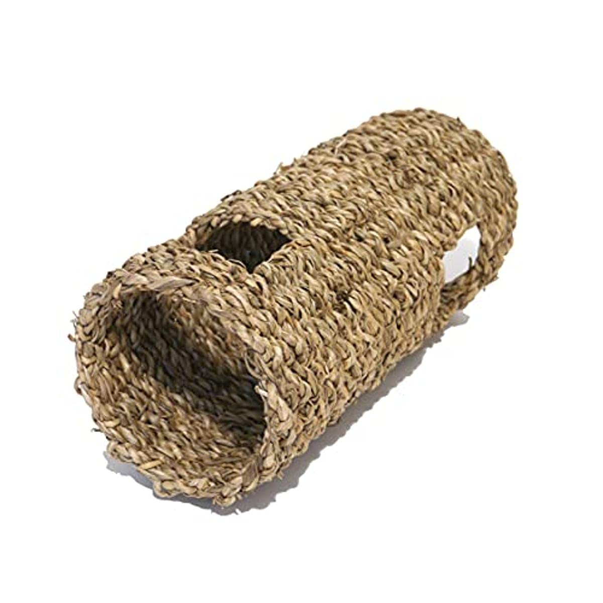 Algopix Similar Product 16 - Rosewood Boredom Breaker Small Animal