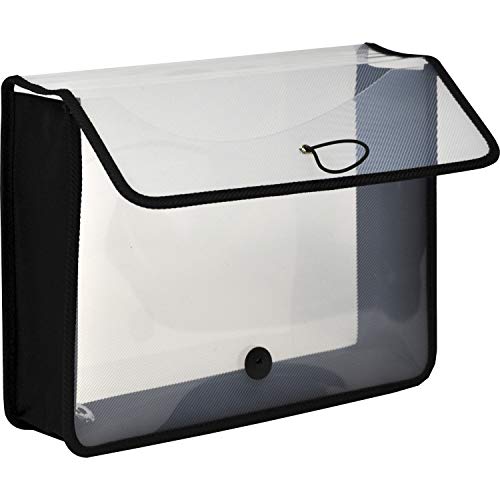Algopix Similar Product 2 - Lion ExpandNFile Poly Expanding