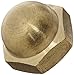 Algopix Similar Product 20 - Brass Acorn Nut Grade 8 Right Hand