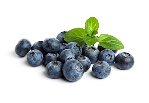 Algopix Similar Product 14 - Fresh Frozen Organic Blueberries by