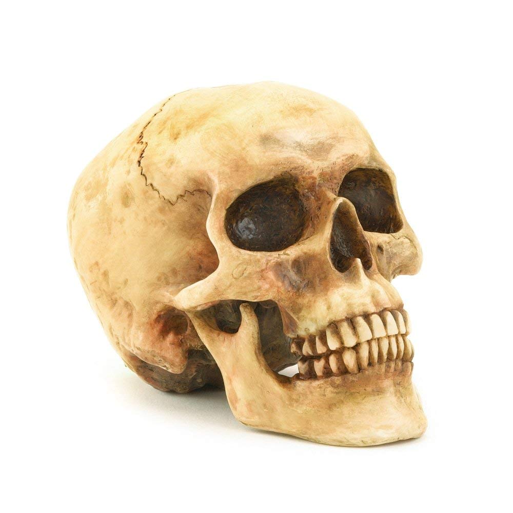 Algopix Similar Product 3 - Grinning Highly Realistic Replica Human