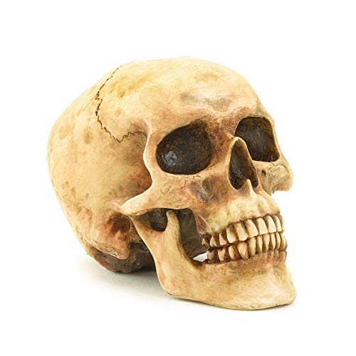 Algopix Similar Product 17 - Grinning Highly Realistic Replica Human