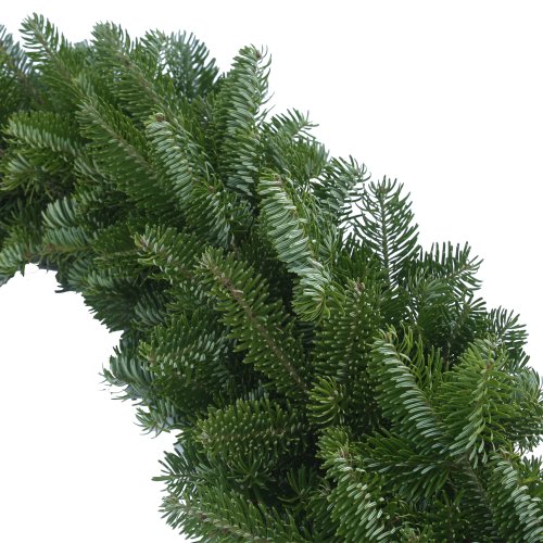 Algopix Similar Product 7 - Worcester Wreath 6Feet Maine Balsam