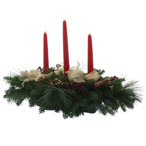 Algopix Similar Product 9 - Worcester Wreath Cinnamon Stick 3