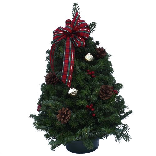 Algopix Similar Product 10 - Worcester Wreath Highland Maine Balsam
