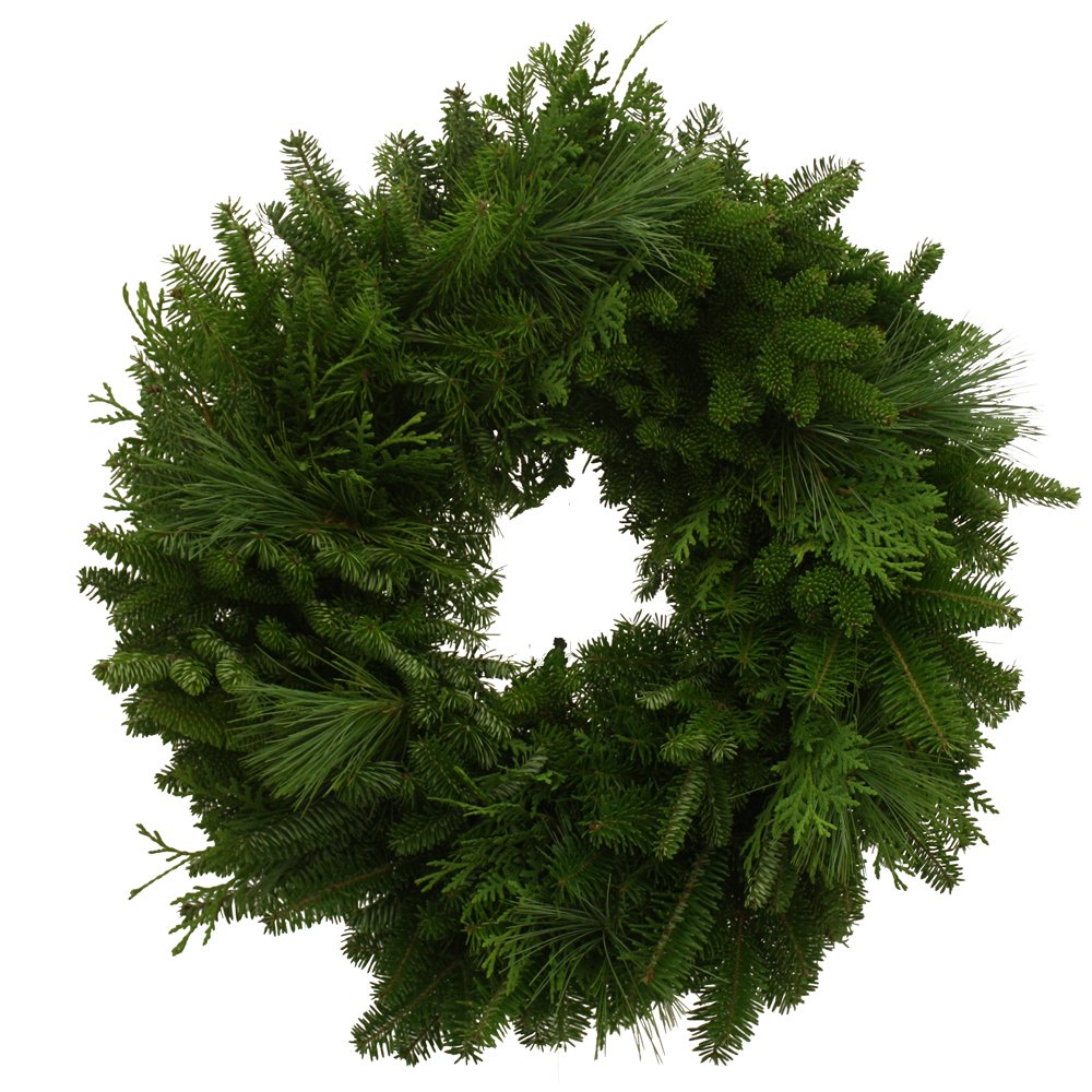 Algopix Similar Product 5 - Worcester Wreath 24Inch Mixed Greens