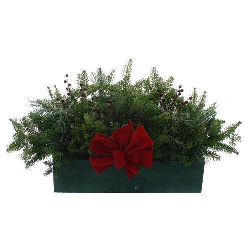 Algopix Similar Product 5 - Worcester Wreath Winter Window Box