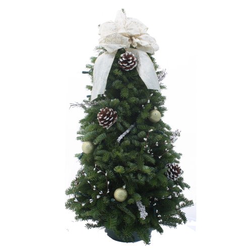 Algopix Similar Product 7 - Worcester Wreath 28Inch Winter
