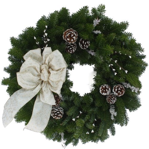 Algopix Similar Product 13 - Worcester Wreath 24Inch Winter