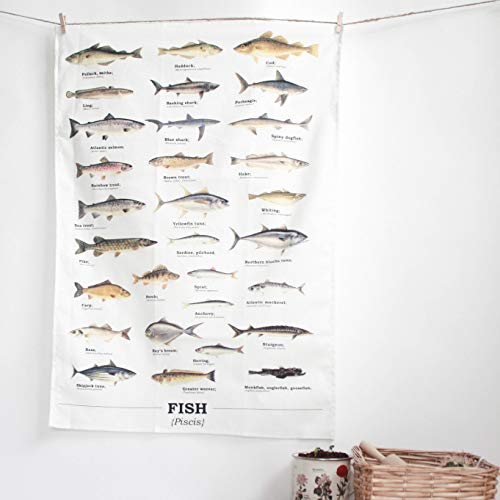 Algopix Similar Product 11 - Gift Republic Ecologie Multiple Fish