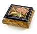 Algopix Similar Product 12 - Magnificent Single Pink Rose Musical