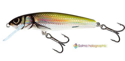 Algopix Similar Product 19 - Salmo Minnow Lure Crankbait HBL Holo