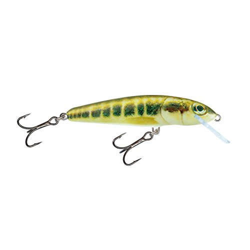 Algopix Similar Product 11 - Salmo Minnow Lure Crankbait M Minnow