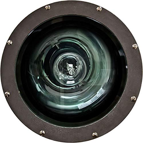 Algopix Similar Product 4 - Dabmar Lighting FG4320 Fiberglass 100W